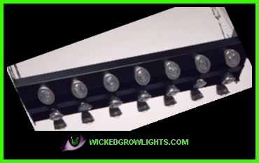 medical marijuana pot led grow lights